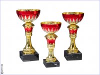 Ständerpokal "Franz"  Gold/Rot 195mm