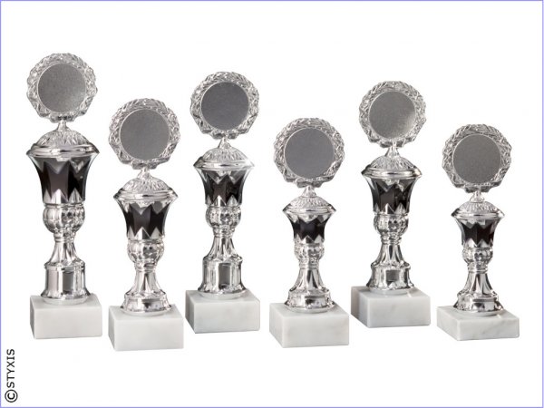 Silber / schwarz